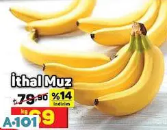 İTHAL MUZ KG İTHAL MUZ KG